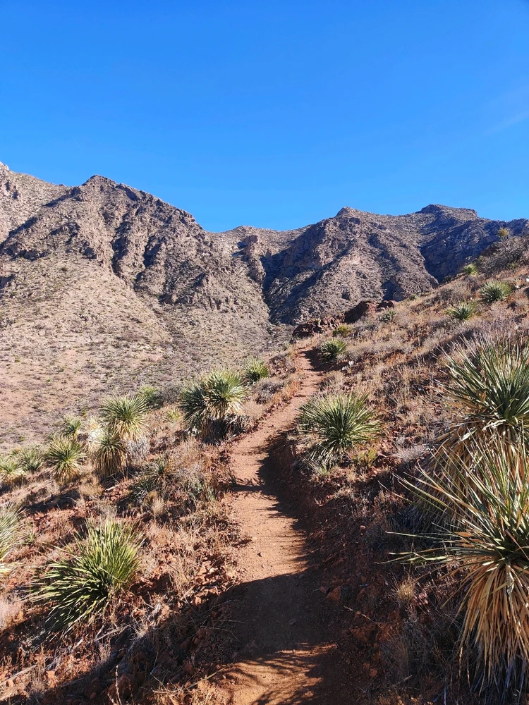 Image uploaded by berry