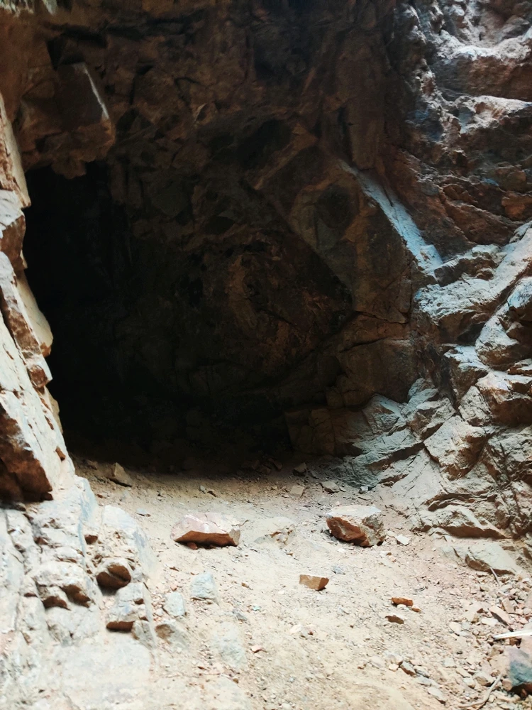 Image uploaded by berry