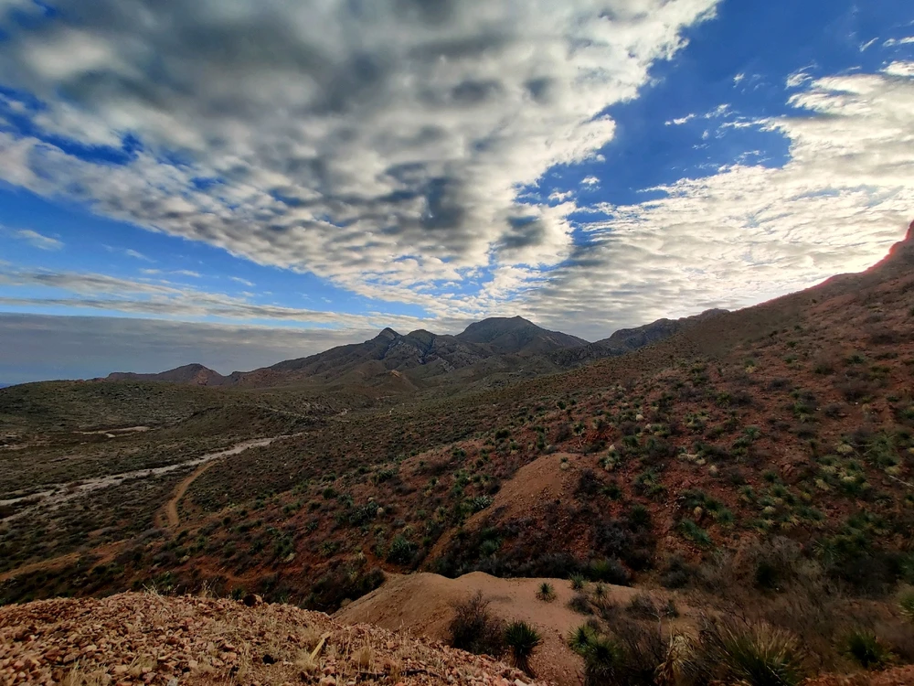 Image uploaded by berry