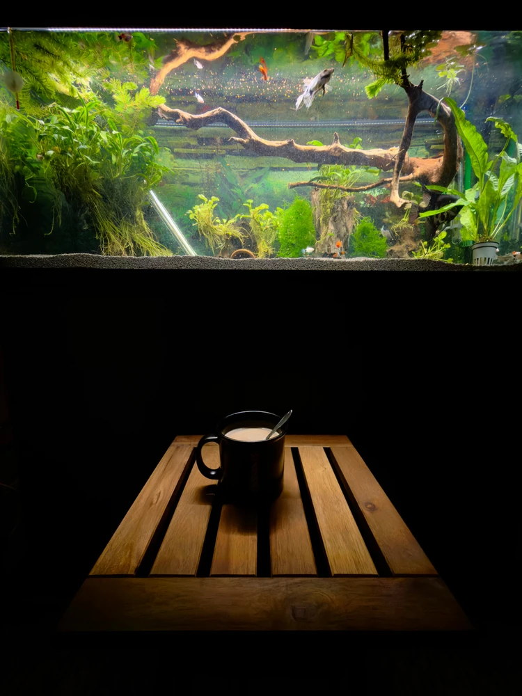 GIF uploaded by ะะปะธั