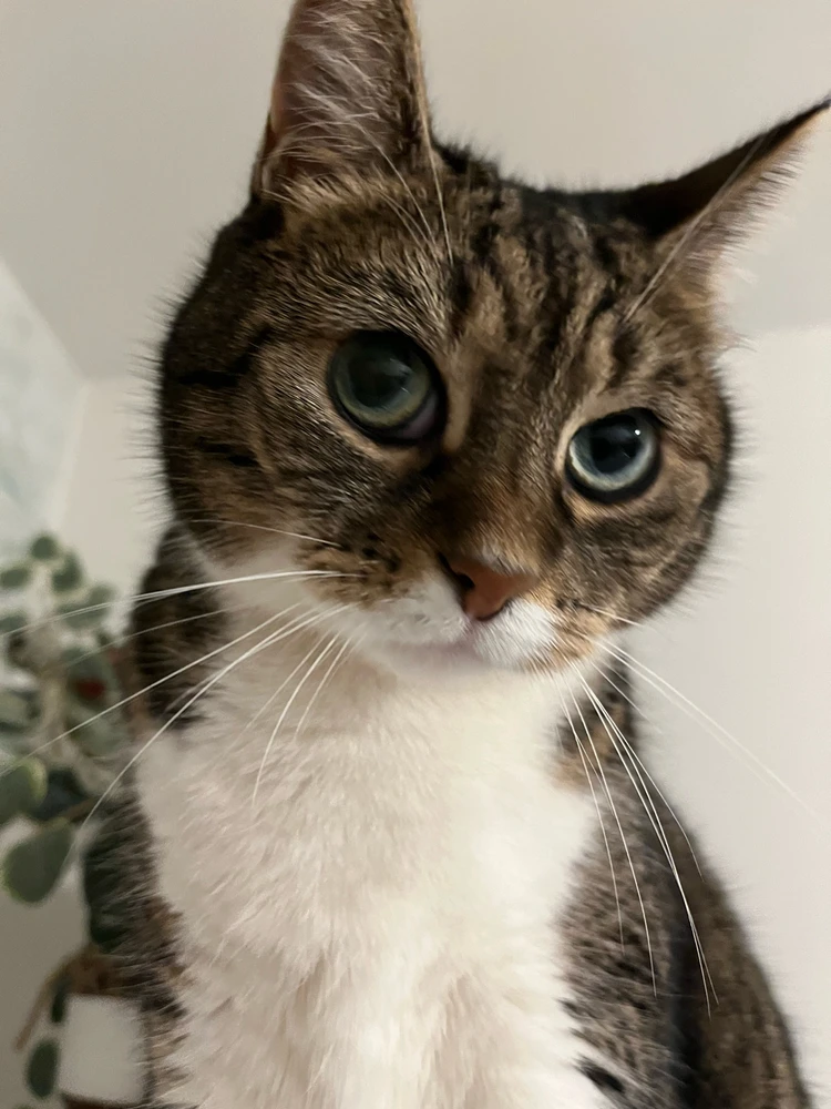 GIF dodany przez Greg