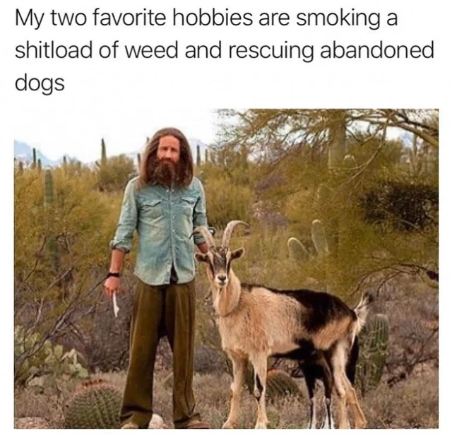 GIF încărcat de Bogdan