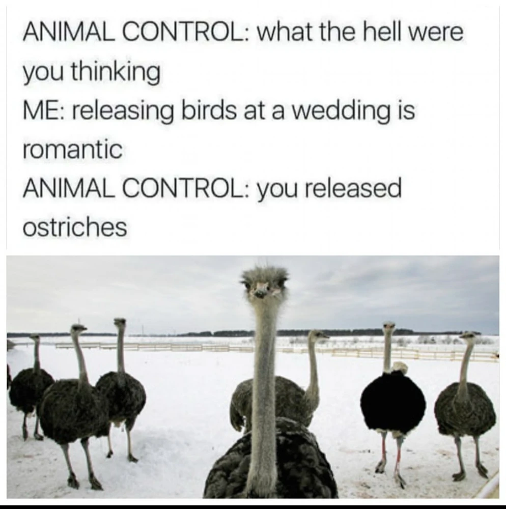 GIF uploaded by 🌙✨ℳℯ𝓁𝒶𝓃𝒾𝓆𝓊ℯ✨🌙