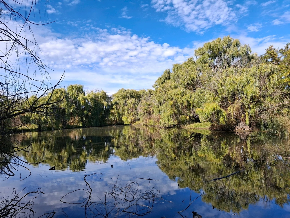 GIF uploaded by Aiden