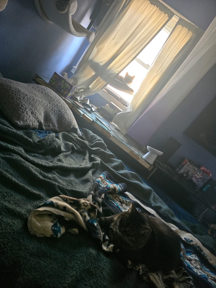 GIF uploaded by Tarik