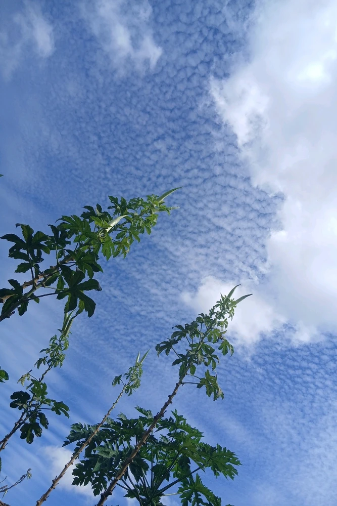 GIF enviado por Rafael