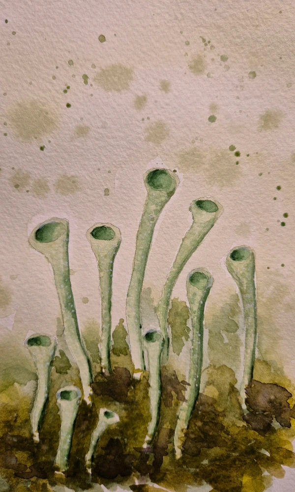 GIF dodany przez Urszula