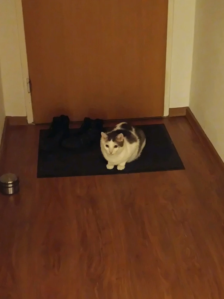 GIF dodany przez Łukasz