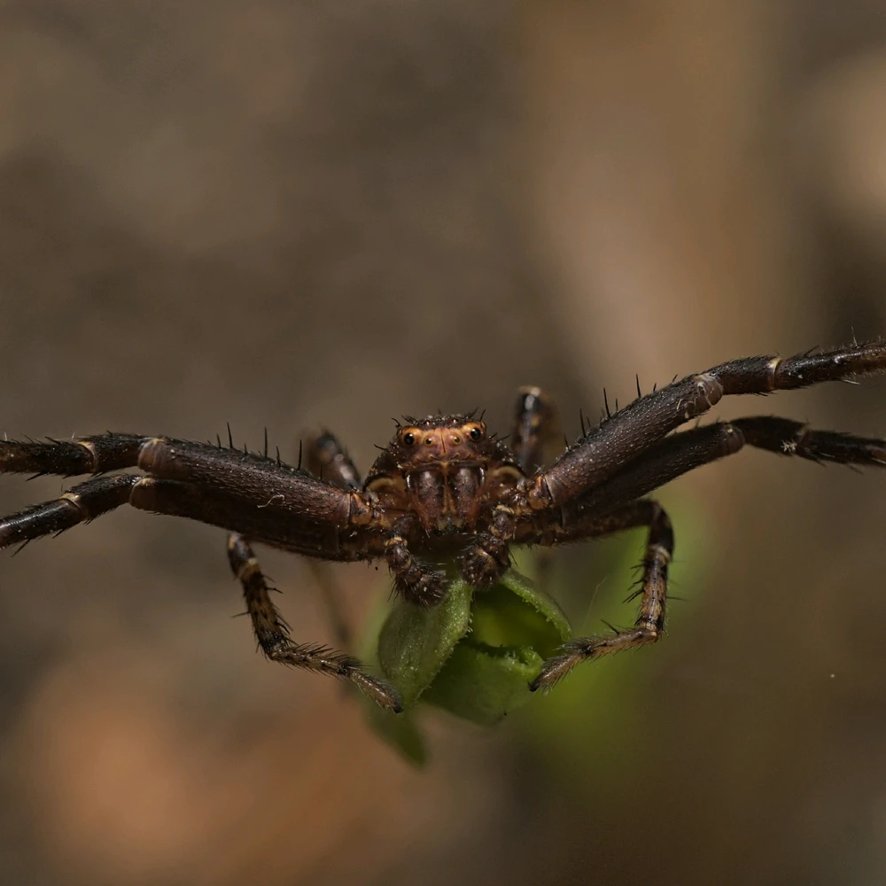 GIF uploaded by Logan