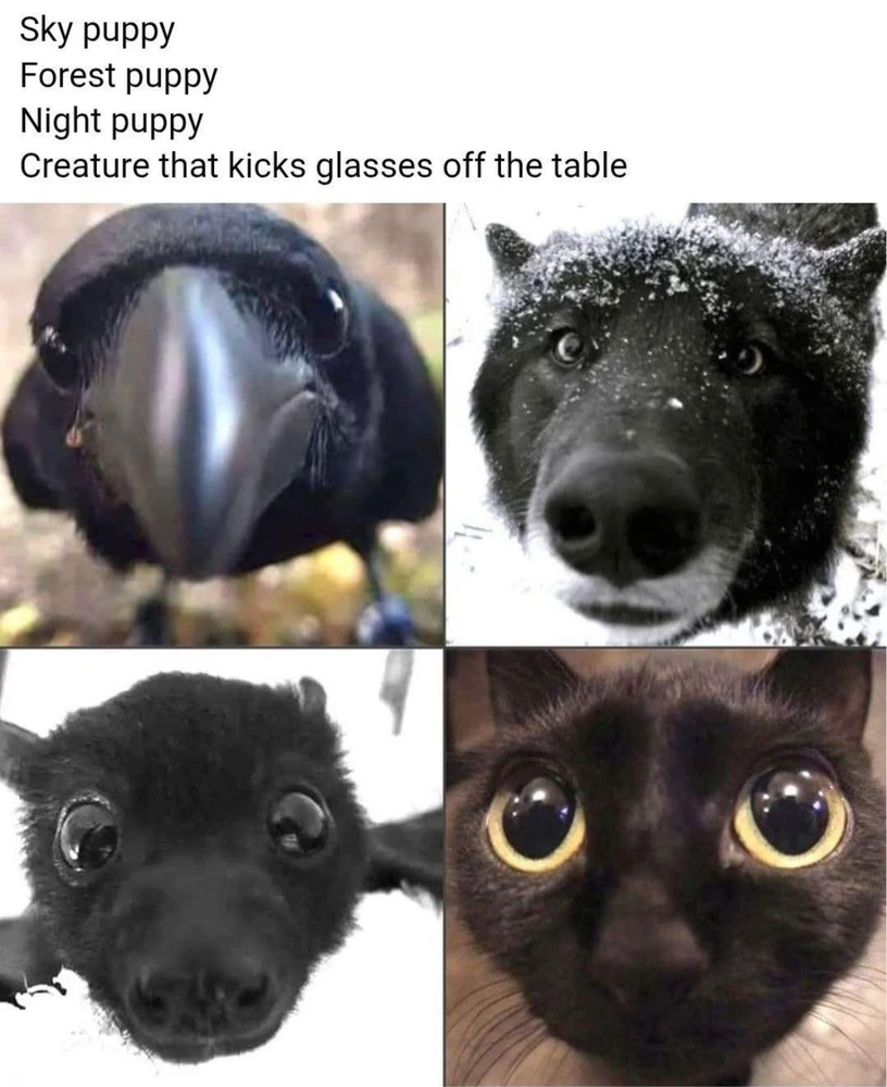 GIF uploaded by 🌙✨ℳℯ𝓁𝒶𝓃𝒾𝓆𝓊ℯ✨🌙