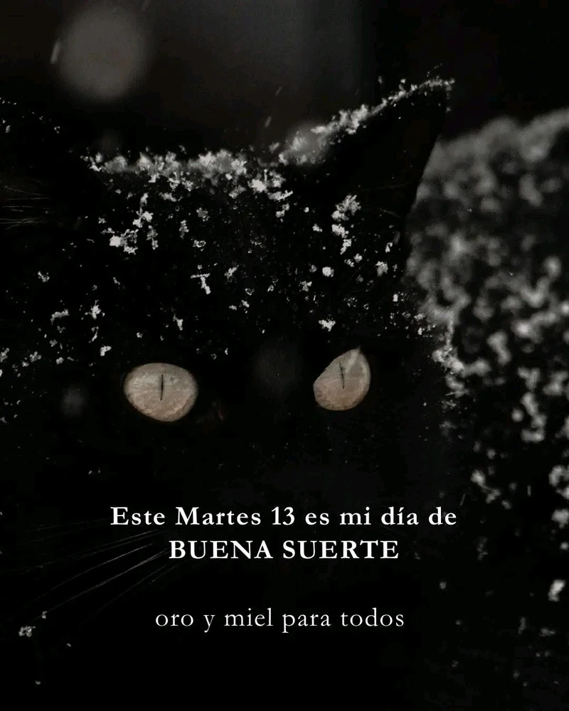 GIF subido por ❤ Sophia aka Mango Mami ❤️