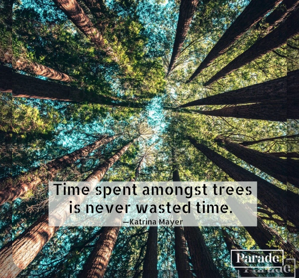 GIF uploaded by Ricarda