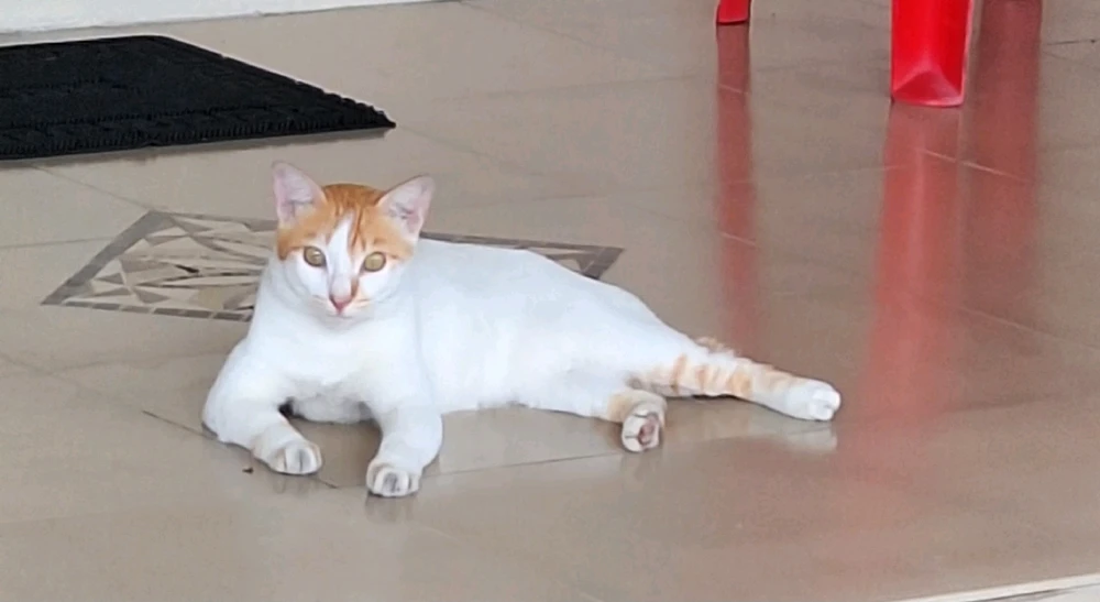 GIF uploaded by Anda