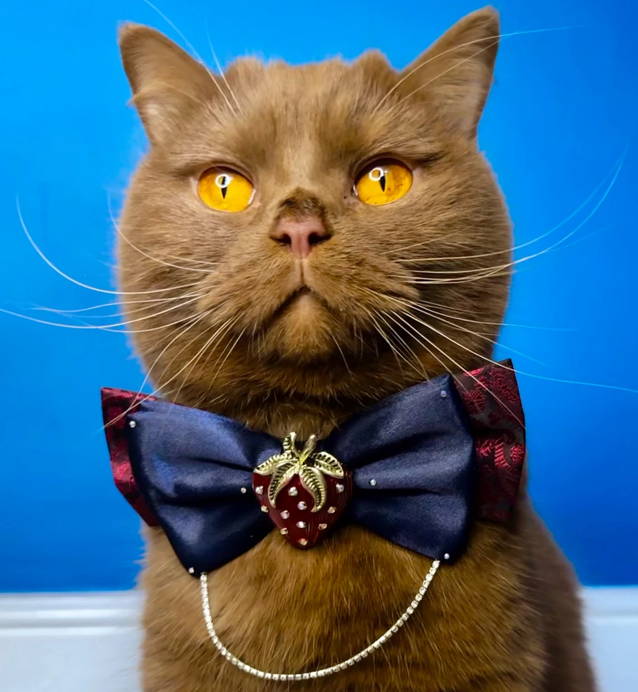 GIF uploaded by Victoria