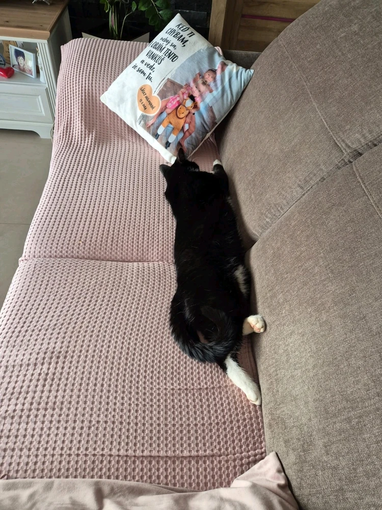 GIF uploaded by Daniel