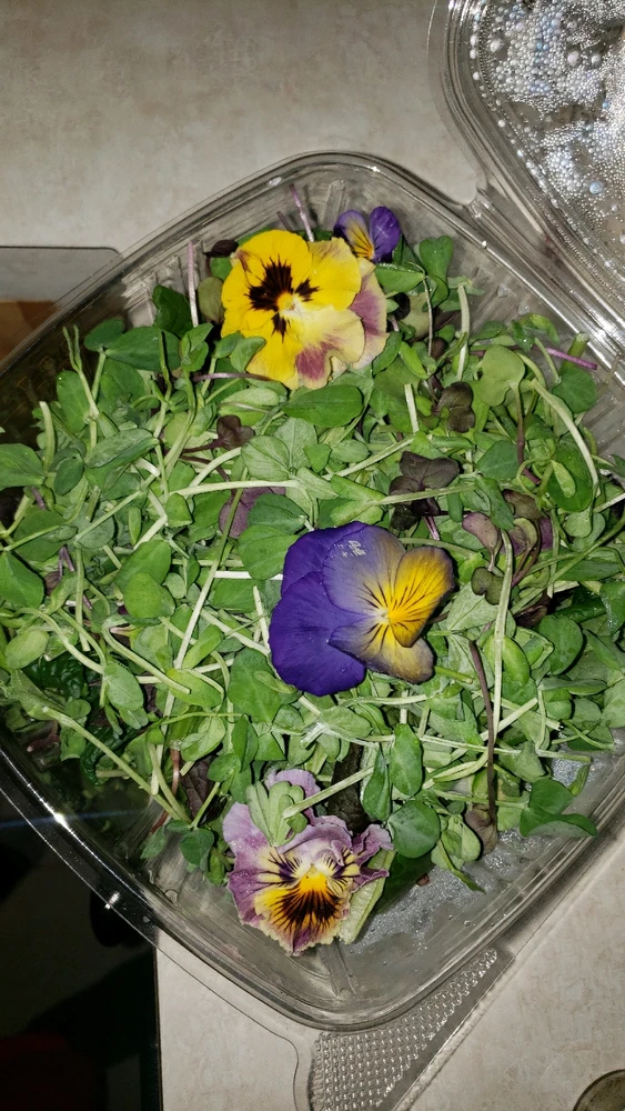 GIF uploaded by James