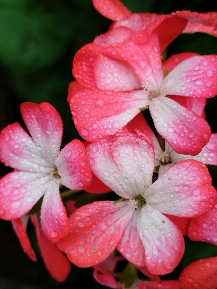 Image uploaded by Kat