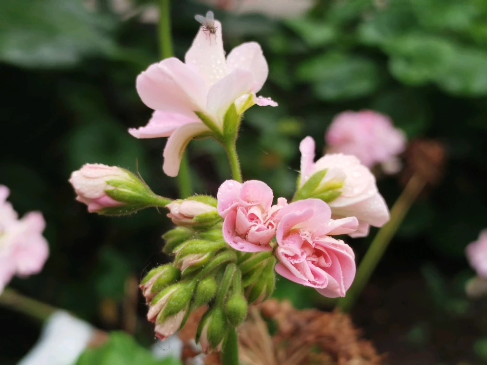 Image uploaded by Kat