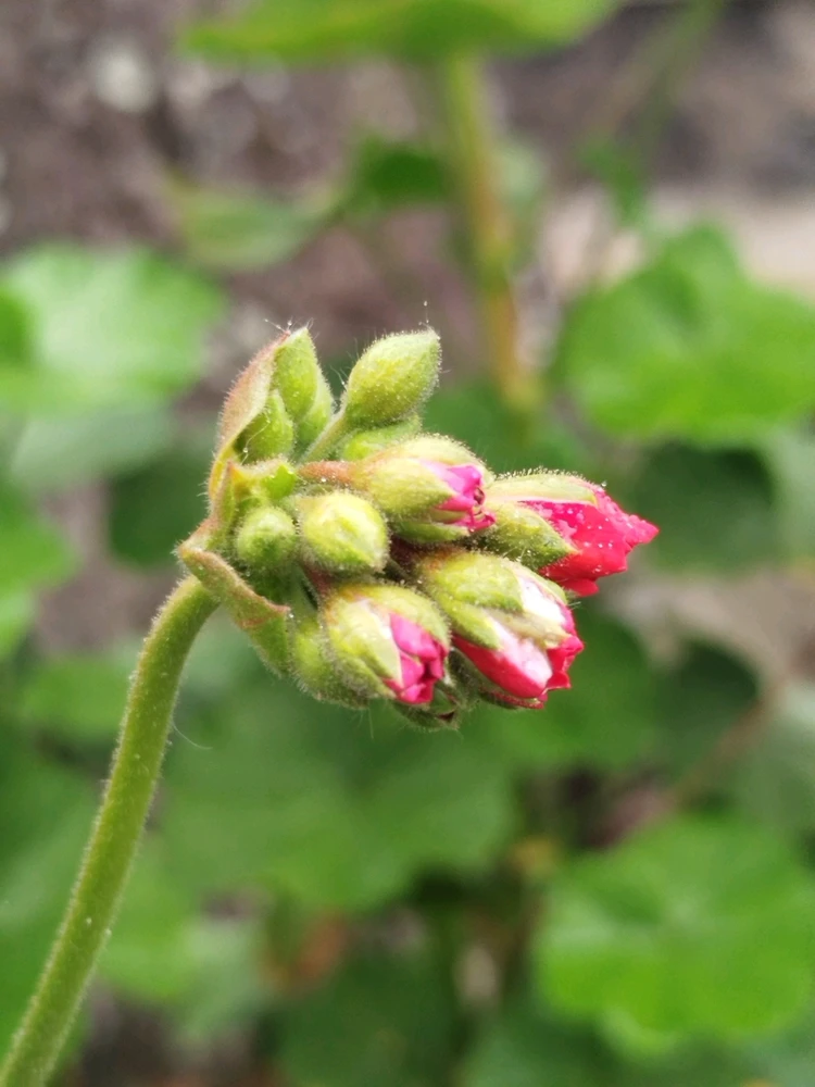 Image uploaded by Kat