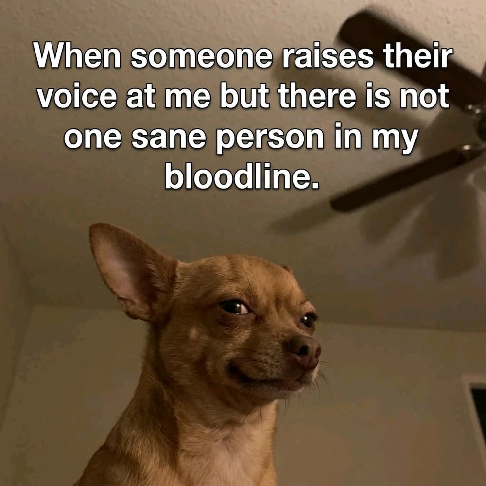 GIF uploaded by Chrif