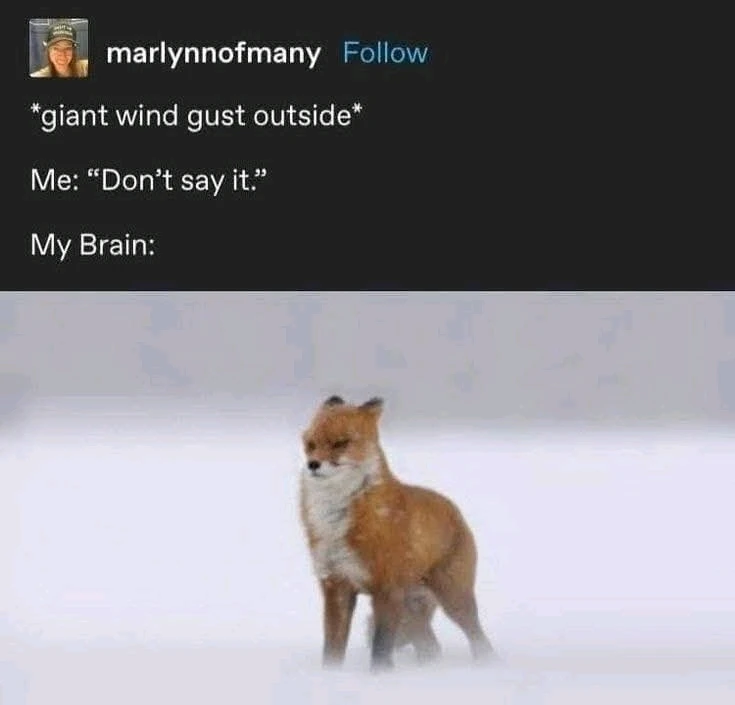 GIF uploaded by Zack