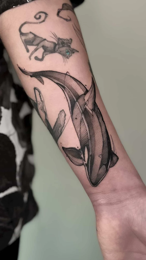 Imagen subida por Tomás