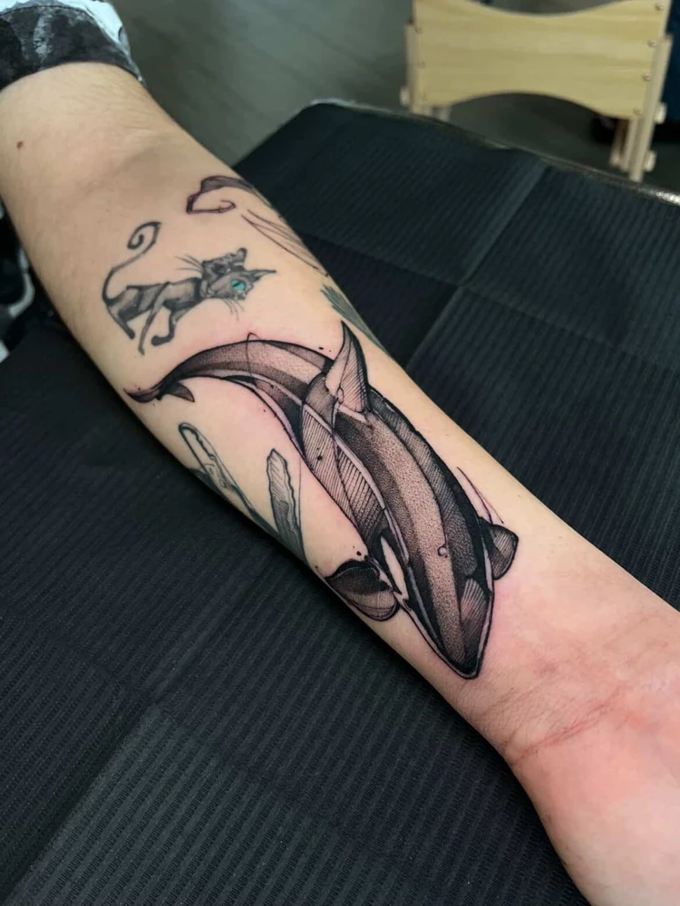 Imagen subida por Tomás