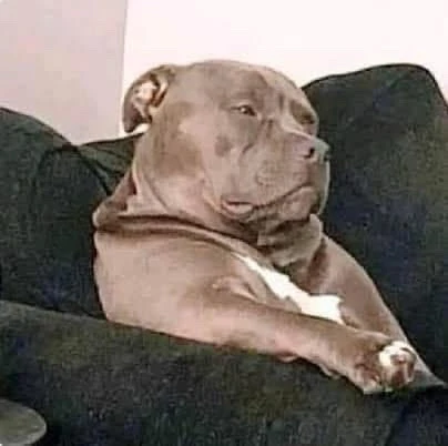 GIF uploaded by Erick