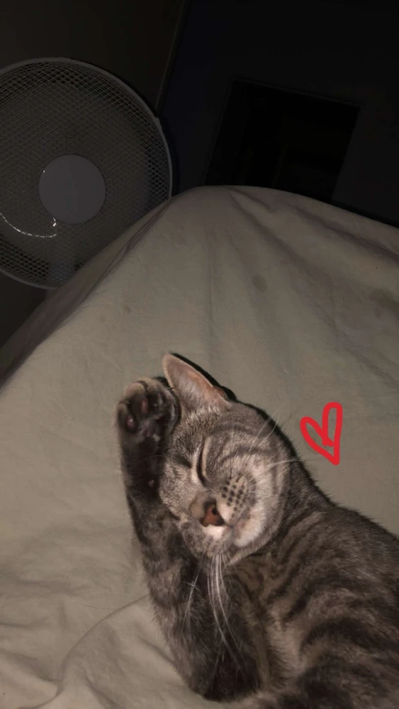 GIF uploadet af Lærke