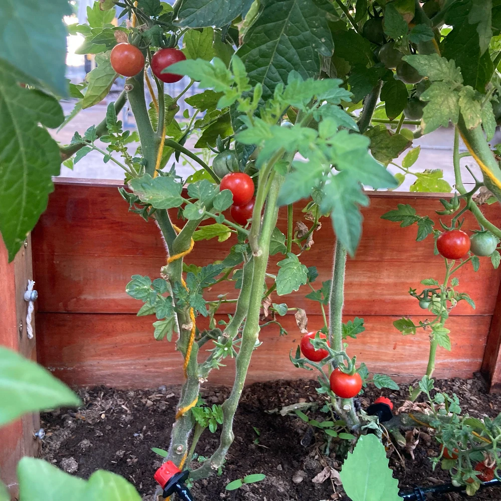 GIF subido por Juan Pablo