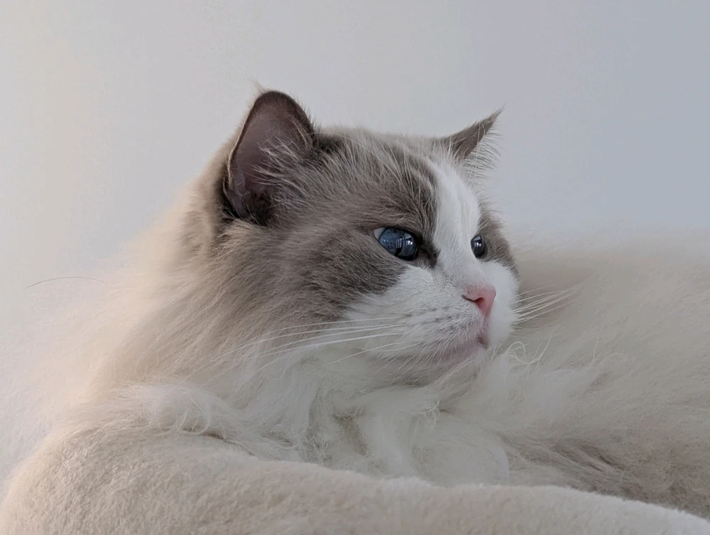 Image uploaded by Tobi