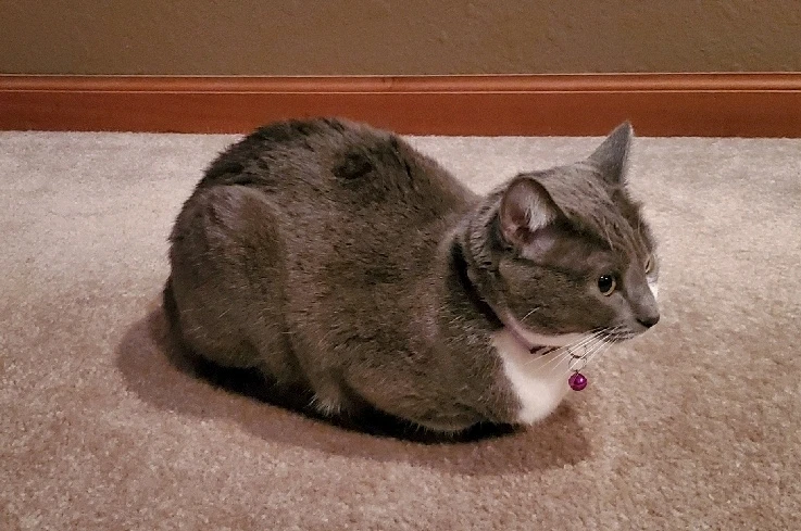 Image uploaded by Bo