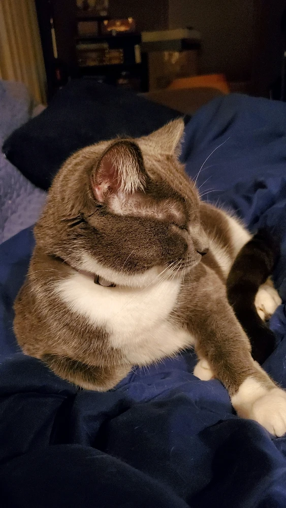 Image uploaded by Bo