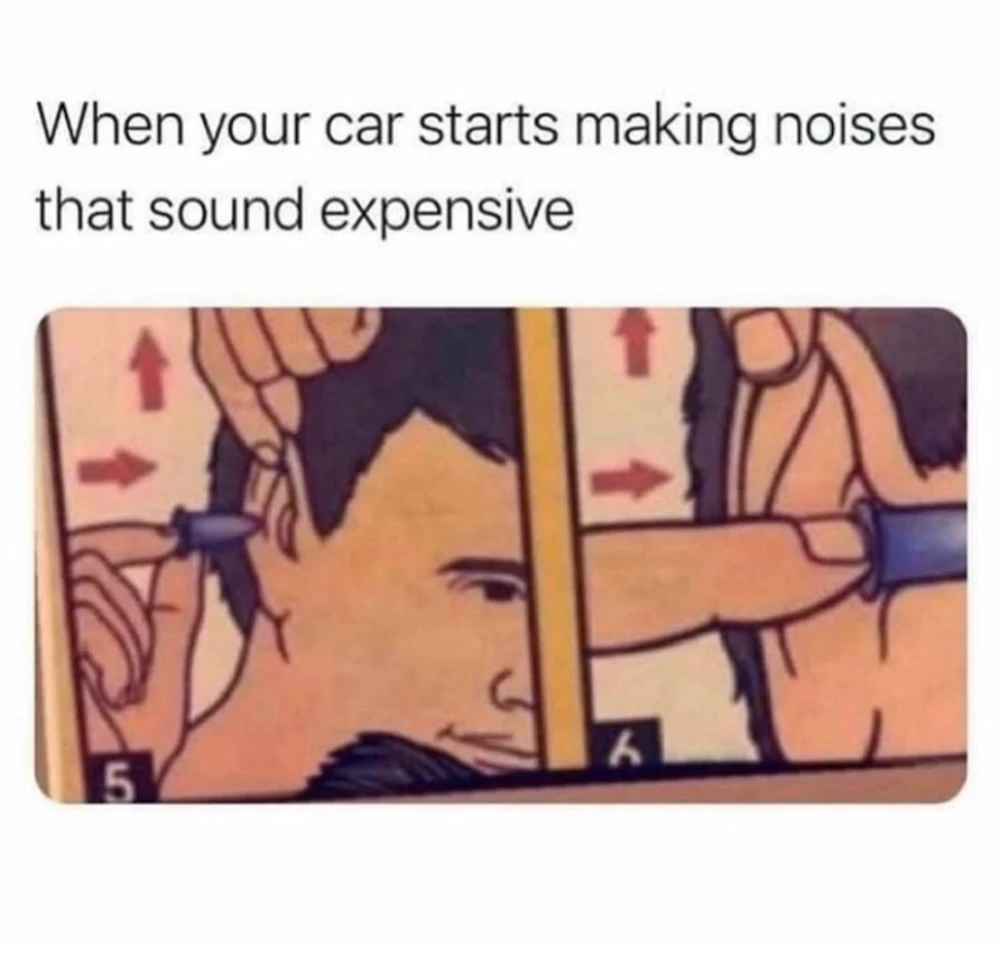 GIF uploaded by Stazi