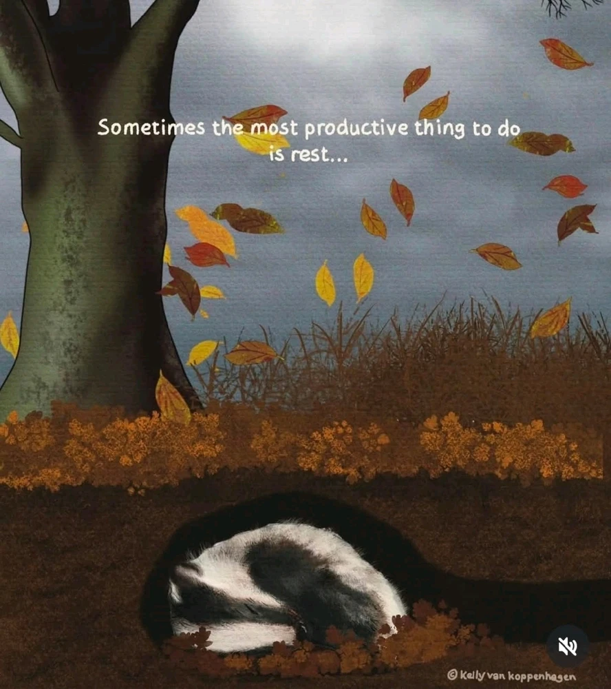 Image uploaded by 💖Sarita💖