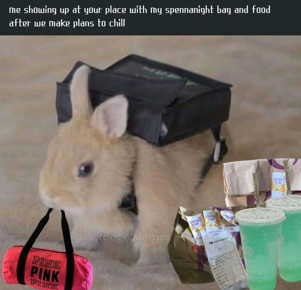 GIF uploaded by Stazi