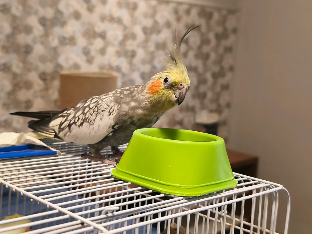 Imagem enviada por Cat