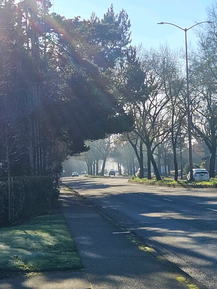 GIF diunggah dening Opal