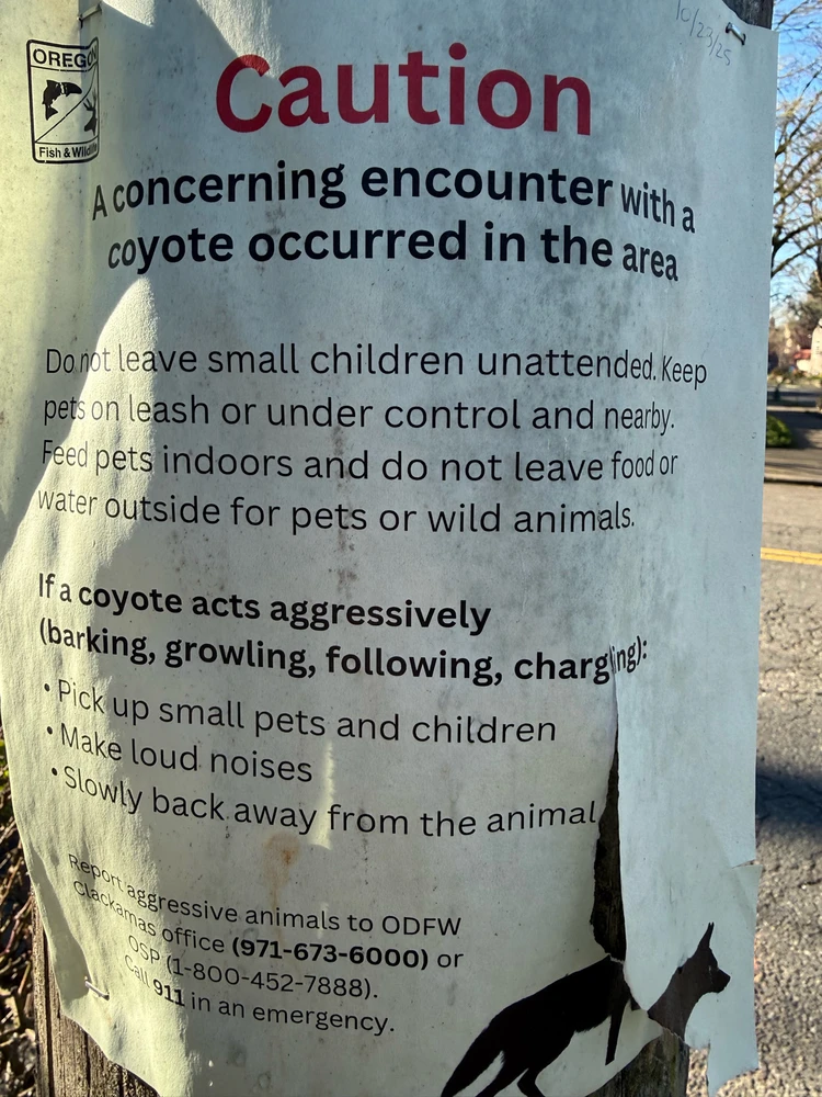 GIF uploaded by Stephen