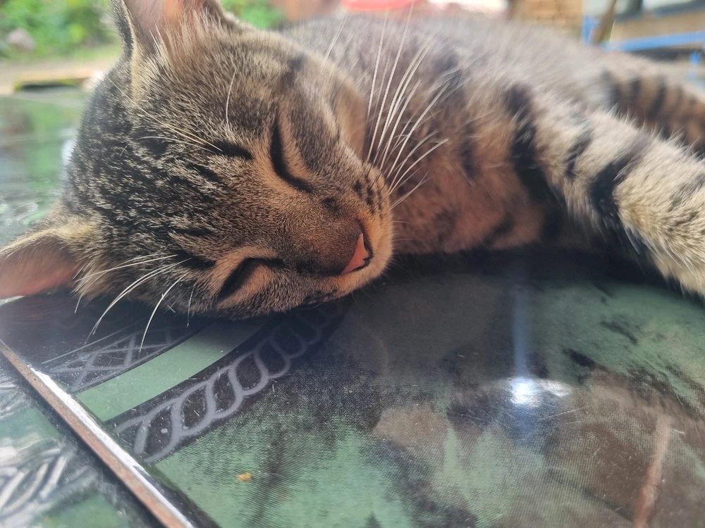 GIF uploaded by Kristi