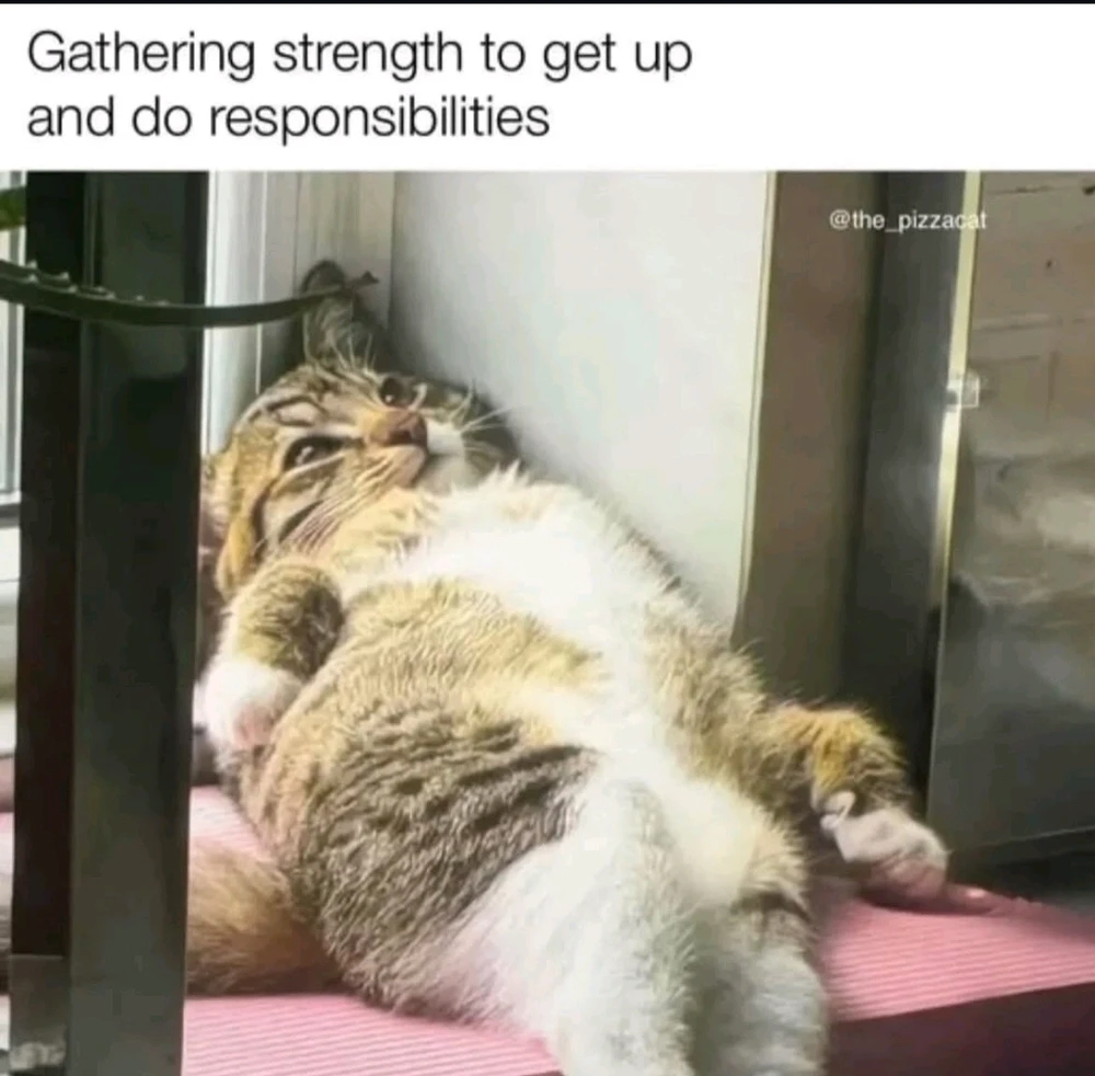 GIF hochgeladen von Kev