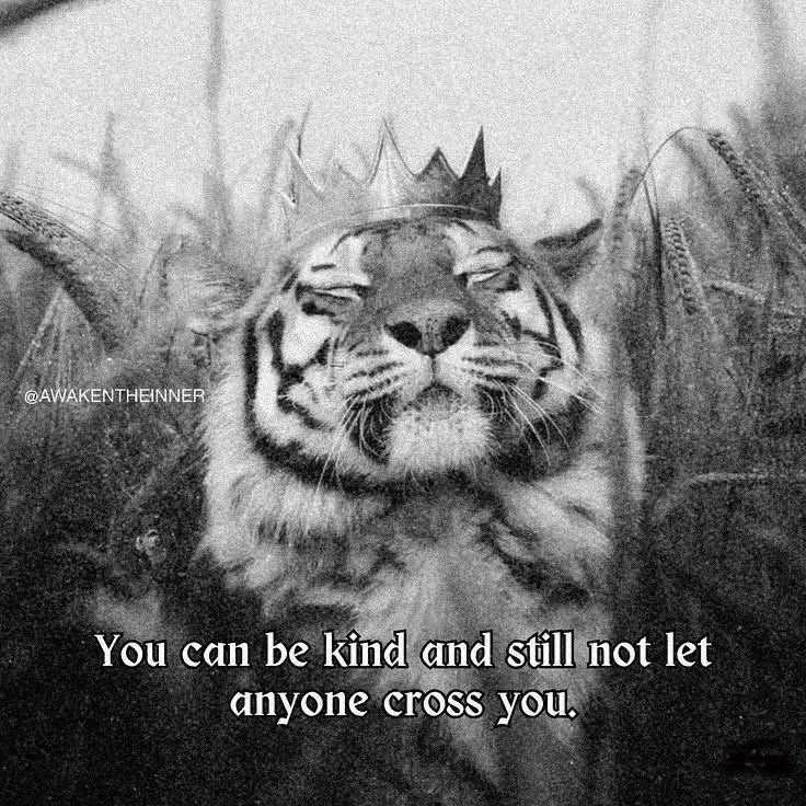 GIF uploaded by Mademoiselle Amy