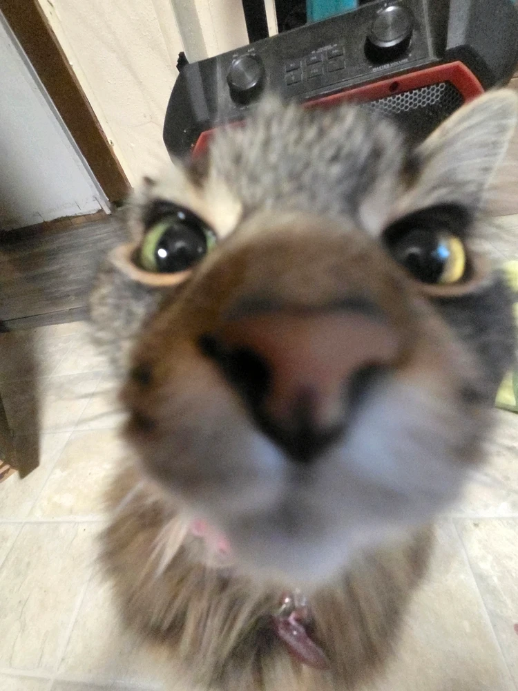 GIF uploaded by Astro