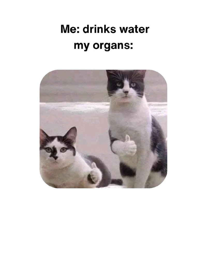 GIF uploaded by Erica