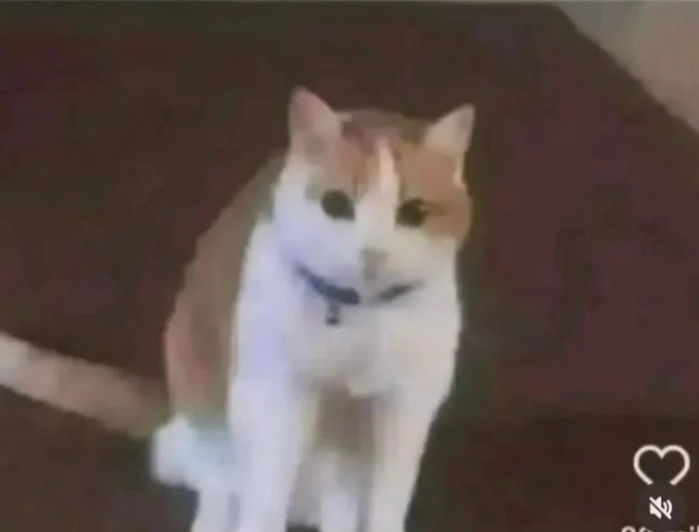 GIF subido por Tadeo Rodarte