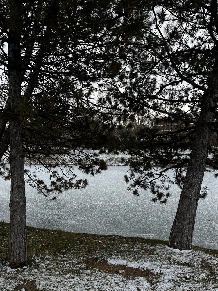 Ftk tarafından yüklenen GIF