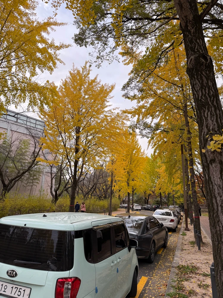 Minseok님이 올린 사진