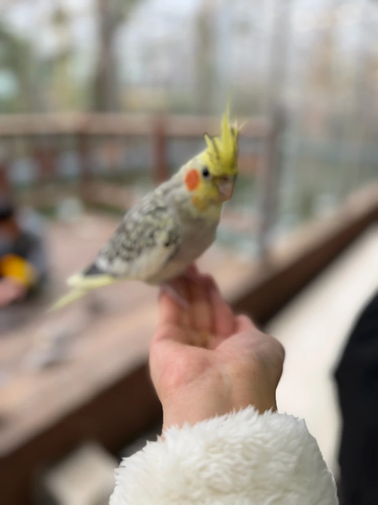 Minseok님이 올린 사진