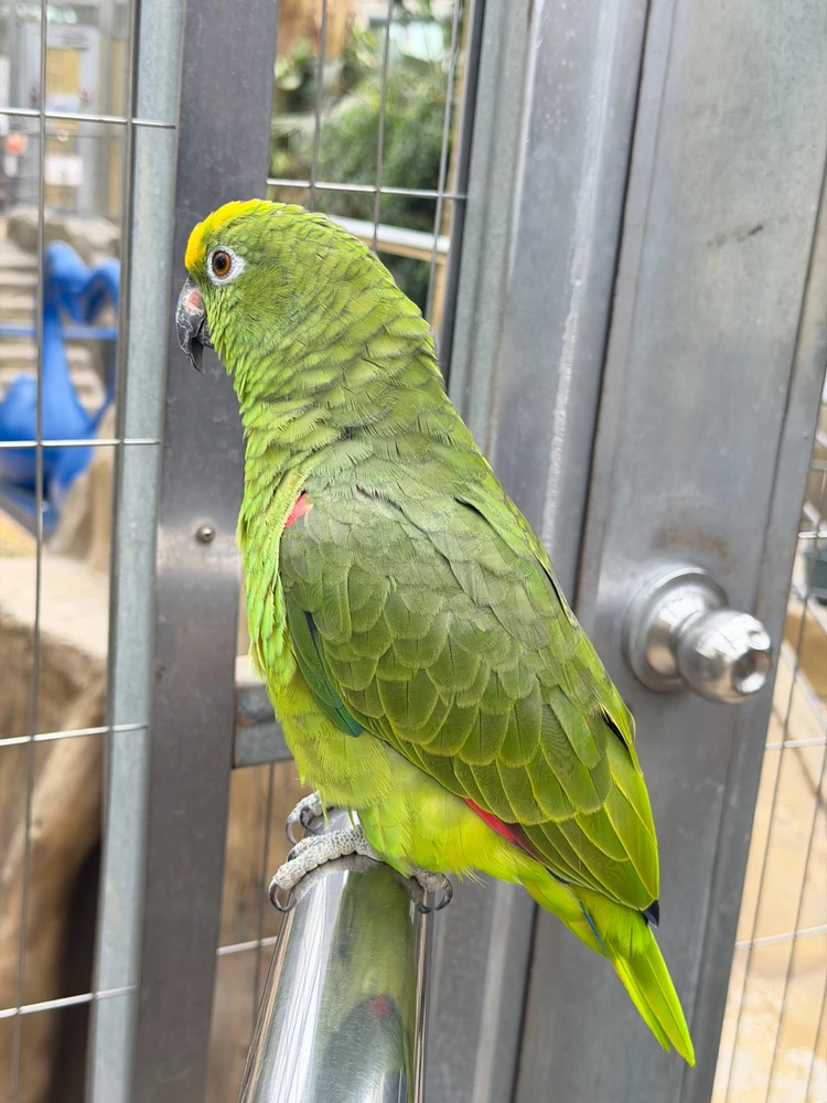 Minseok님이 올린 사진