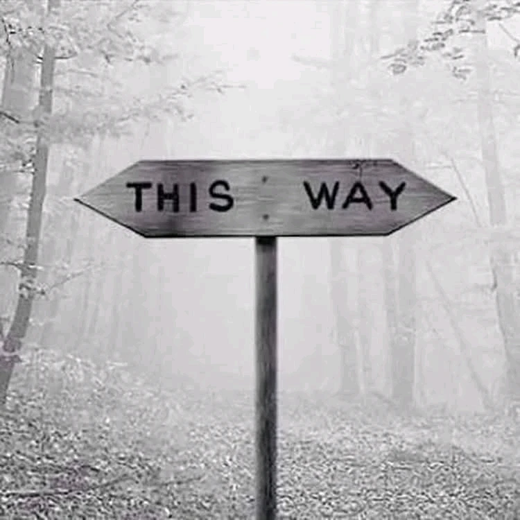 GIF uploaded by Igor